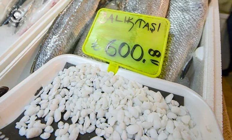 Balık Taşı 600 Lira...