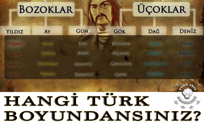 Türklerin Soy Ağacının İl İl Listesi! Hangi Türk Boyundansınız? 