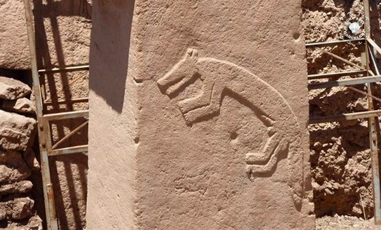 2019 'Göbeklitepe' Turizm Yılı 