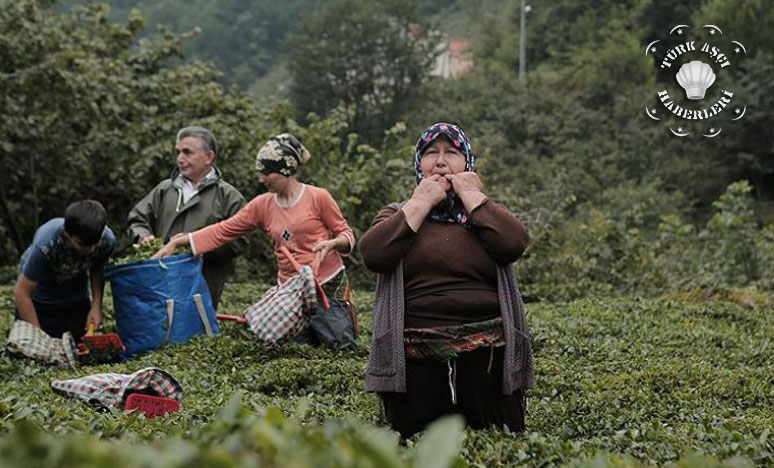 5 Asırdır Kullanılıyordu! Unesco'nun Listesine Girdi<