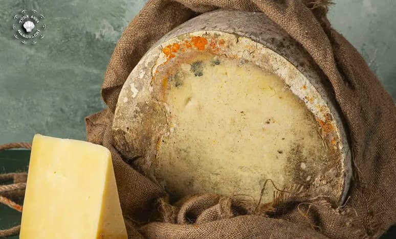 Dünya Peynir Haritasında Türk Peynirlerinin Önemi Nedir?<