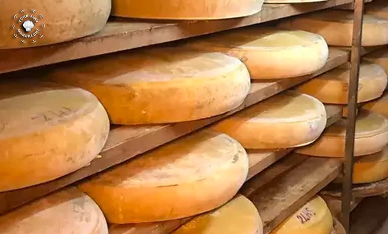 Dünya Peynir Haritasında Türk Peynirlerinin Önemi Nedir?
