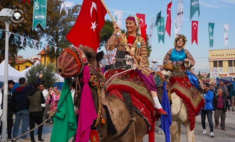 Milas Zeytin Hasadı Şenliği Ne Zaman Başlayacak?