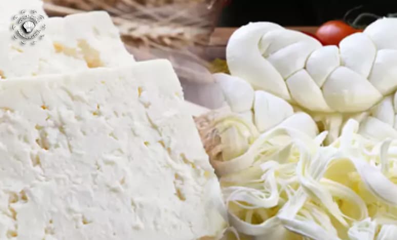 Almanya'da Altı Peynir Markasında Listeria Alarmı
