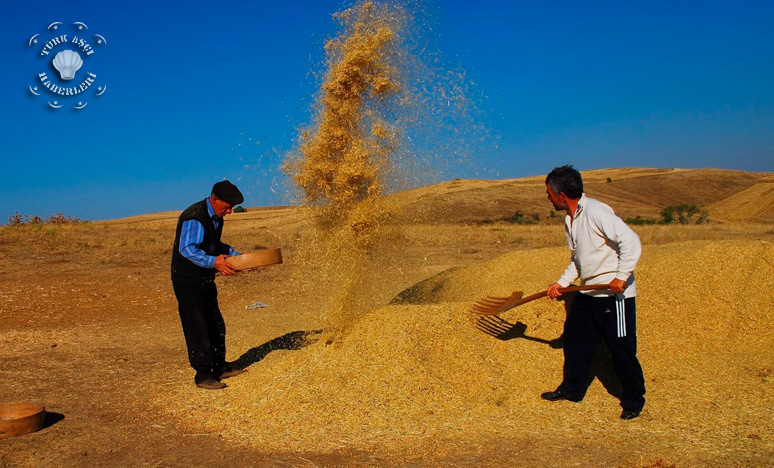 Anadolu’da Bulgur