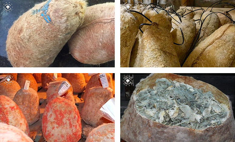 Anadolu’nun Saklı Kalmış Zengin Peynir Çeşitleri Ve Mağaradan Gelen Nefis Obruk Lezzetleri… <