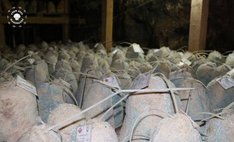 Anadolu’nun Saklı Kalmış Zengin Peynir Çeşitleri Ve Mağaradan Gelen Nefis Obruk Lezzetleri… 