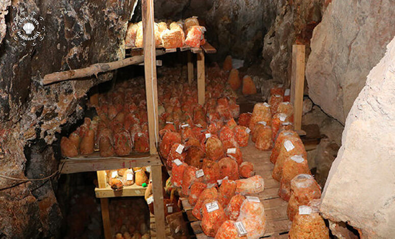 Anadolu’nun Saklı Kalmış Zengin Peynir Çeşitleri Ve Mağaradan Gelen Nefis Obruk Lezzetleri… 