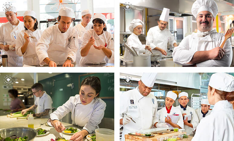 Aşçı Kimdir? Aşçılık Üniversiteleri hangileridir? Türkiyede Bulunan Aşçılık Okulları listesi ve Aşçılık Eğitimleri Nelerdir?