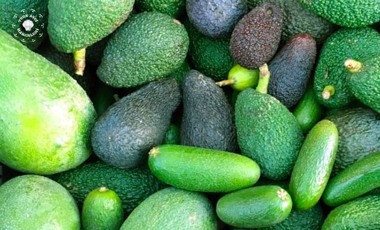 Avokado Soruları Ve Avokado Cevapları 