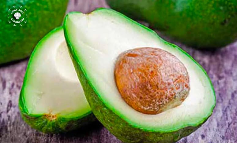 Avokado Soruları Ve Avokado Cevapları 