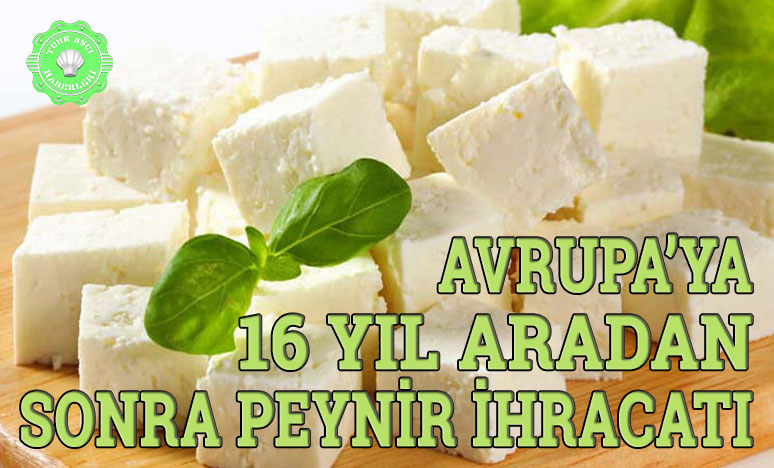 Avrupa’ya 16 Yıl Aradan Sonra Peynir İhracatı