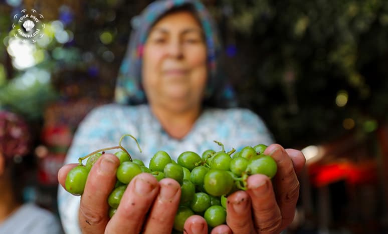 Bademli'de Koruk Şerbeti...