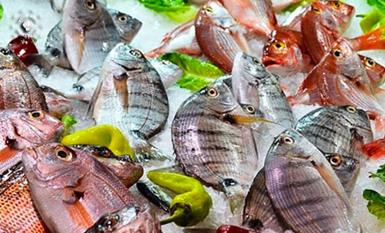 Balık Mutfağa Gelene Kadar Kaç Kat Pahalanıyor?