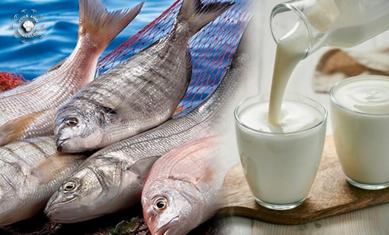 Balık Ve Süt Tüketimi Kanser Riskini Artırırmı?