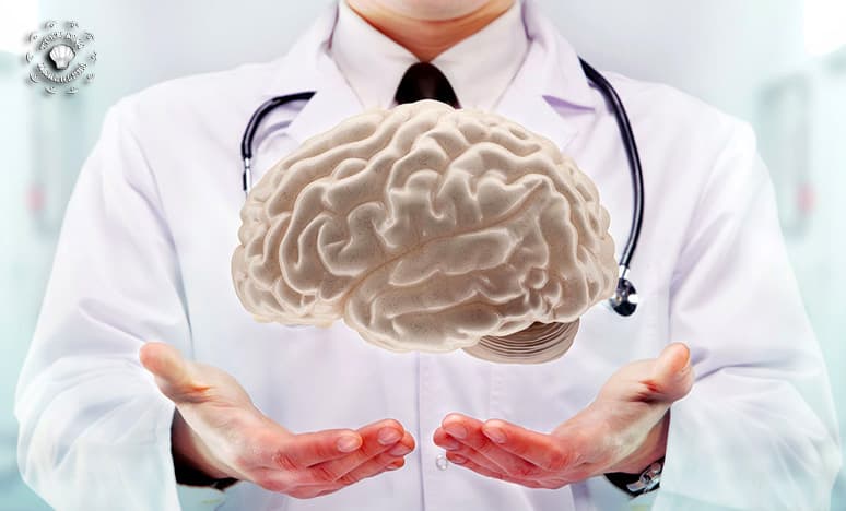 Beyin Sağlığı Nedir? Beyin Sağlığına İyi Gelen Besinler