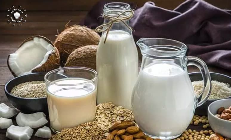 Bitkisel Süt Çeşitleri Nelerdir?