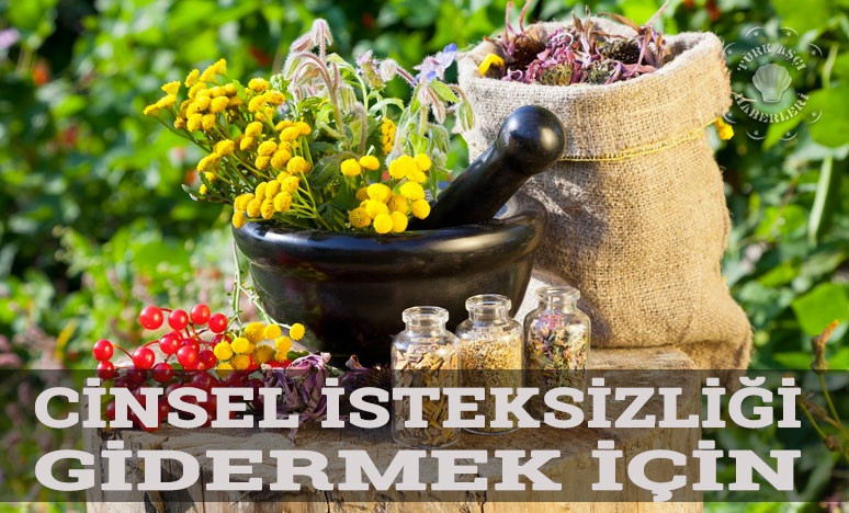 Cinsel İsteksizliği Gidermek İçin