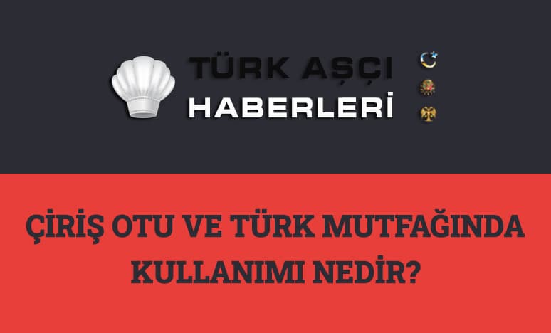 Çiriş Otu ve Türk Mutfağında Kullanımı Nedir?
