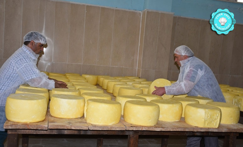 Devlet Desteğiyle Muş'ta Üretilen Peynir 