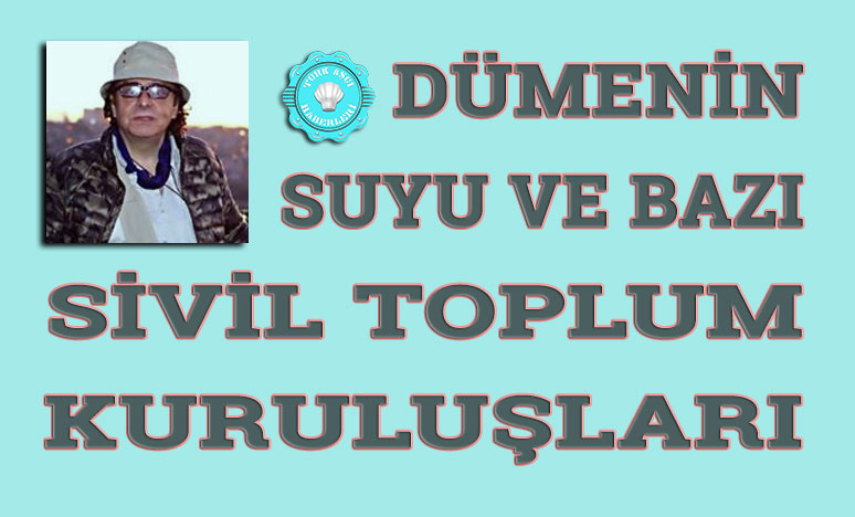 Dümenin Suyu ve Bazı Sivil Toplum Kuruluşları