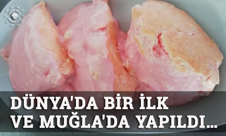 Dünya'da Bir İlk ve Muğla'da Gerçekleştirildi…