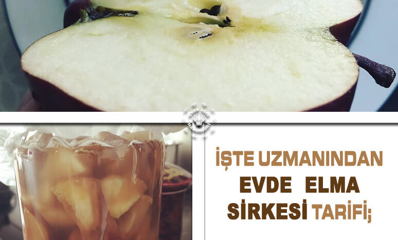 Evde Elma Sirkesi Yapımı 