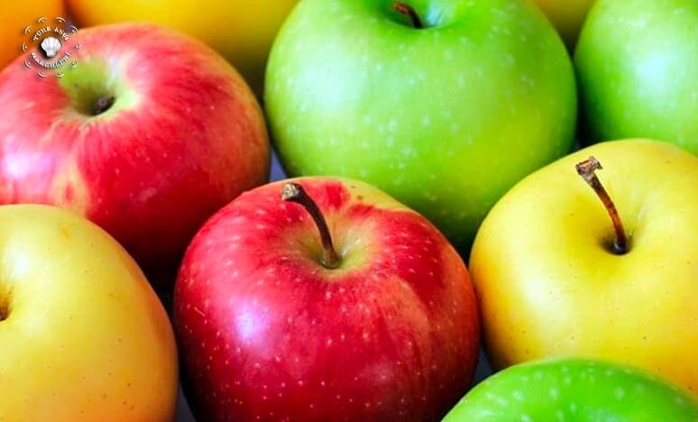 Elma Nedir? Elmanın Faydaları Nelerdir? Elmanın Özellikleri 