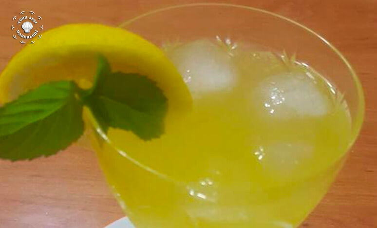 Ev Yapımı Limonata Tarifi 