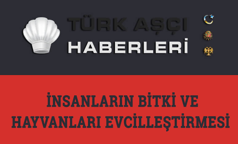 İnsanların Bitkileri ve Hayvanları Evcilleştirmesi...