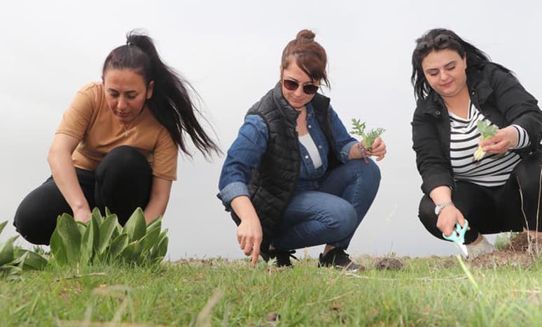 Karacadağ'ın Lezzet Hazinesi 