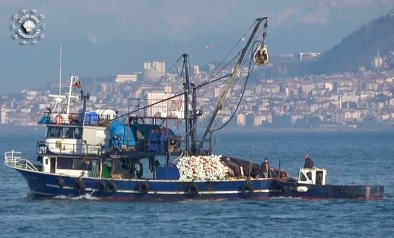 Karadeniz'de Balık Stokları Ne Kadar Yeterli?