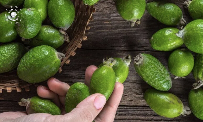 Kaymak Ağacı Meyvesi nedir? Feijoa 'nın Faydaları...