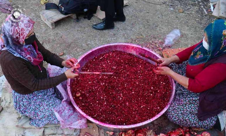 Malatya'da Ekşi Narın Kabuğundan Çay Yapılacak