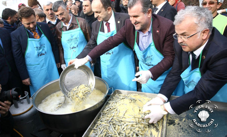 Martı Çığlıklarındaki Gri Lezzet