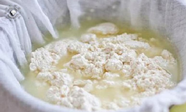 Mayasız Peynir Nasıl Yapılır?