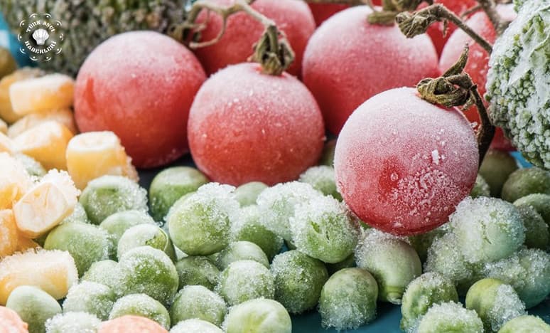 Meyve ve Sebzeleri Dondurmanın Püf Noktaları Nelerdir?