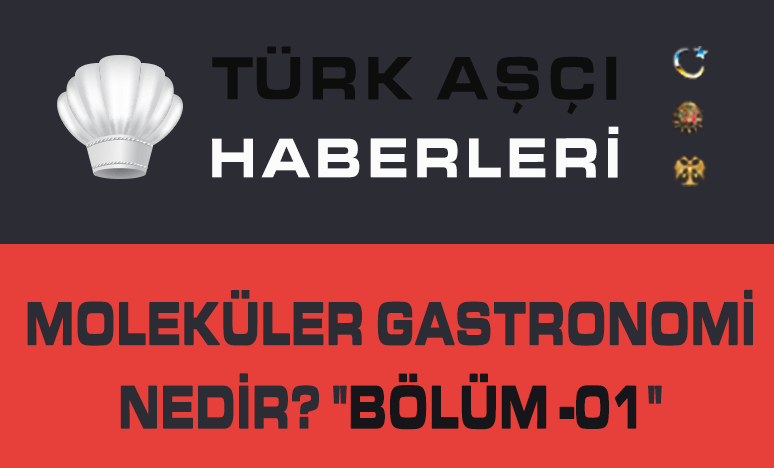 Moleküler Gastronomi Nedir? 