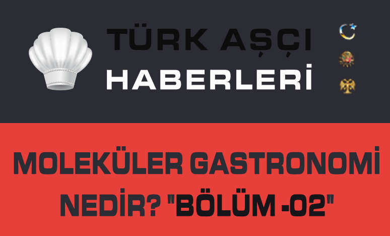 Moleküler Gastronomi Nedir? 