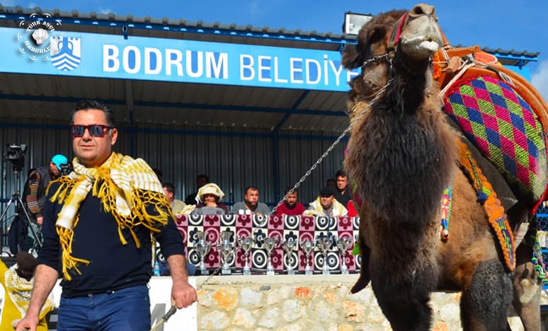 Muğla İli ve İlçeleri Festivaller Ve Sanatsal Etkinlikler Listesi