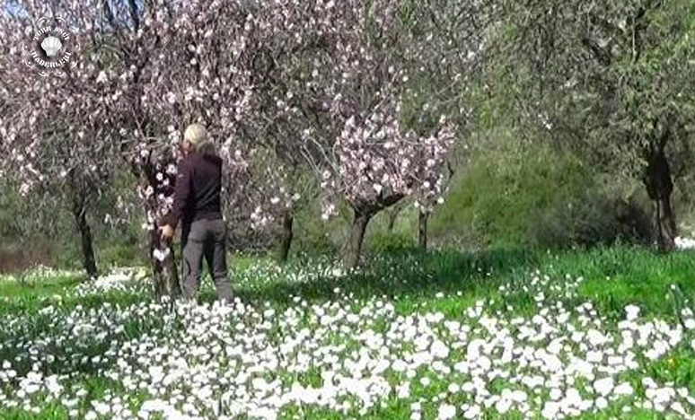 Muğla İli ve İlçeleri Festivaller Ve Sanatsal Etkinlikler Listesi