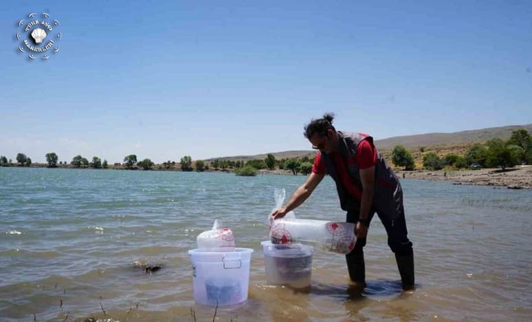Niğde'deki Göletlere 52 Bin 