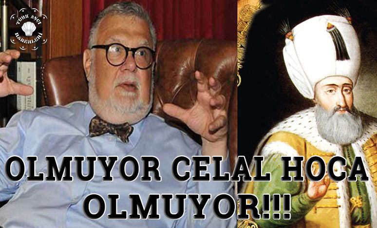 Celal Şengör'den Olay Sözler: Kanuni Sultan Süleyman Salağın Teki!