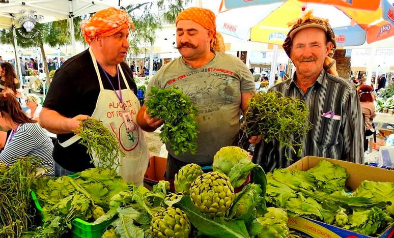 Otların Rüzgarlı Öyküsü...