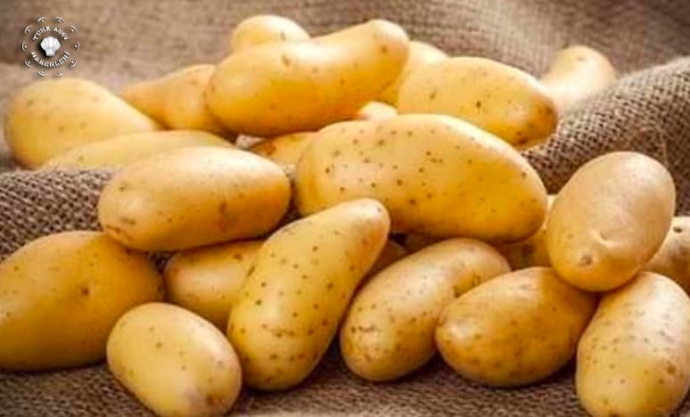 Patatesin Özellikleri Nelerdir?