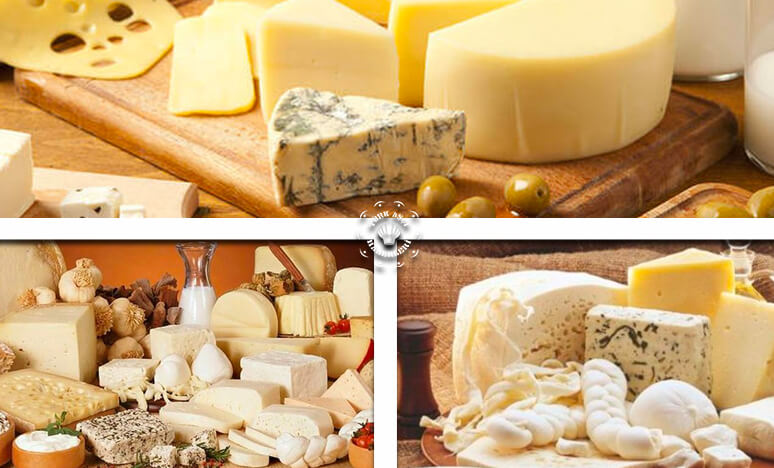 Peynirin Tarihi Nedir? Türkiyede Peynir Çeşitleri ve Beslenmedeki Önemi ...<