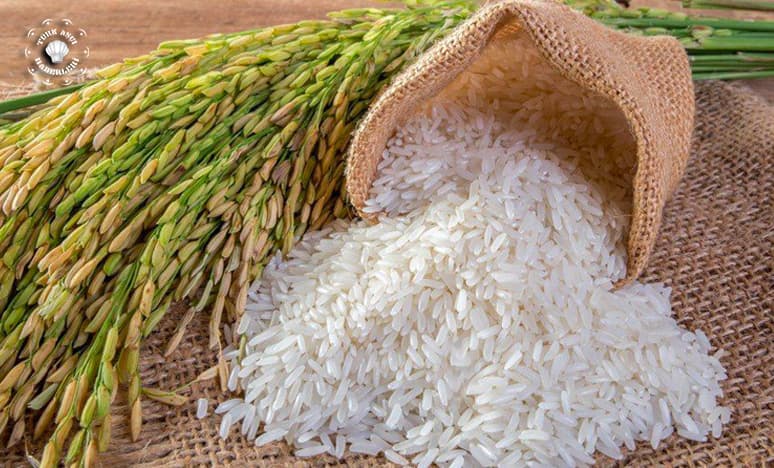 Pirinç Çeşitleri Nedir? Pirinç'in Özellikleri Nelerdir?<
