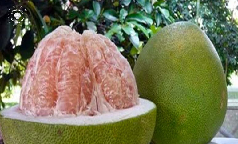 Pomelo Meyvesi Nedir? Pomelo Çeşitleri Nelerdir?