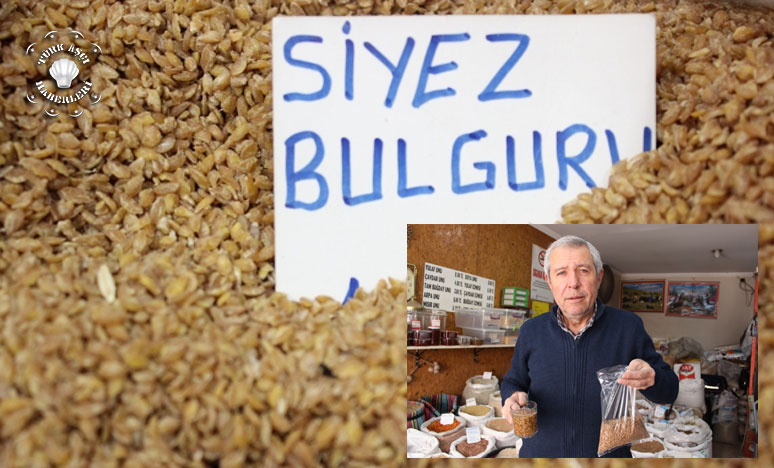 Kromozomu Değişmeyen 12 Bin Yıllık Buğday