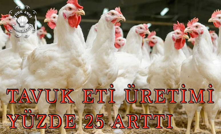 Tavuk eti üretimi yüzde 25 arttı